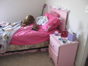 Anna's new bed and night stand - more pics to come as she finishes painting